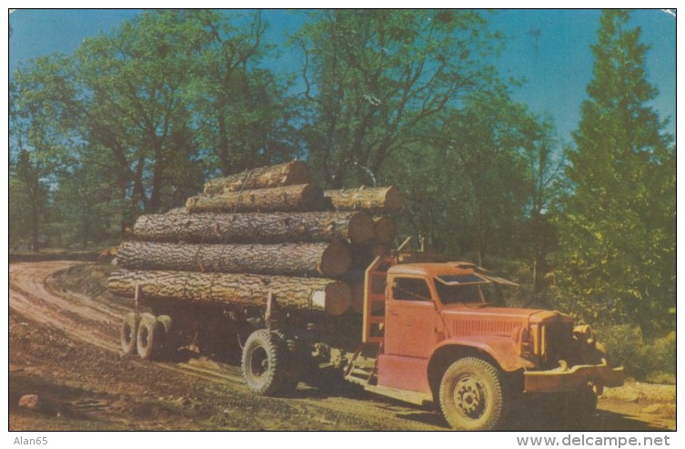 Logging Truck, Timber Lumber Industry Transportation, C1950s Vintage Postcard - Autres & Non Classés