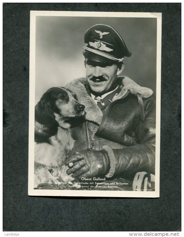 Deutsches Reich Propaganda Postkarte 1938 Oberts Galland - Sonstige & Ohne Zuordnung