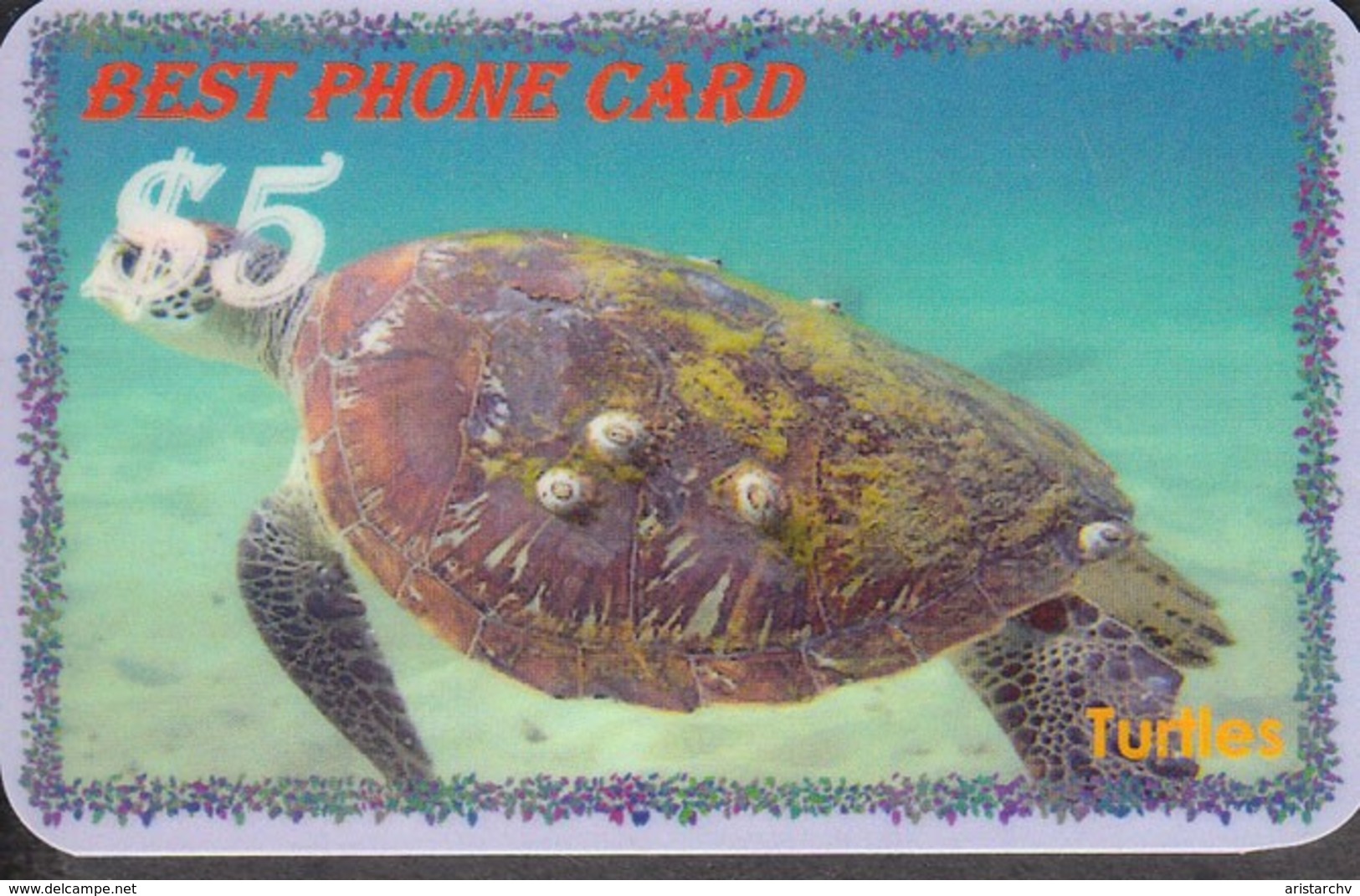 TURTLE SET OF 8 PHONE CARDS - Tortugas