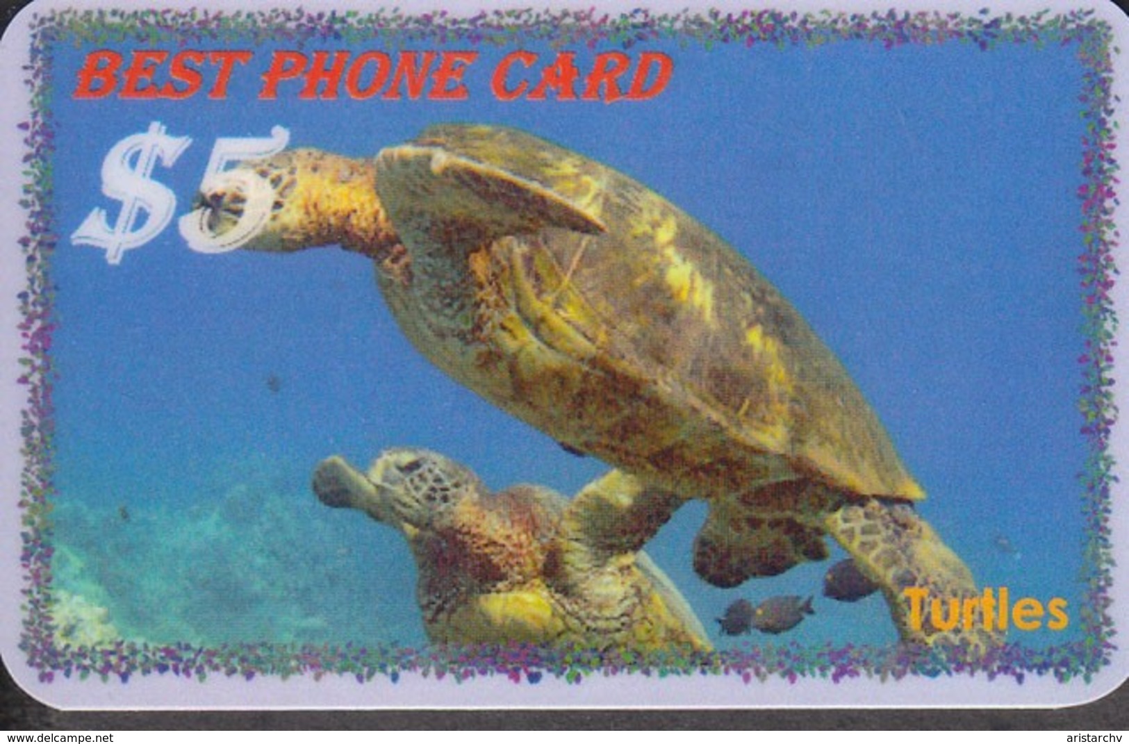 TURTLE SET OF 8 PHONE CARDS - Tortues