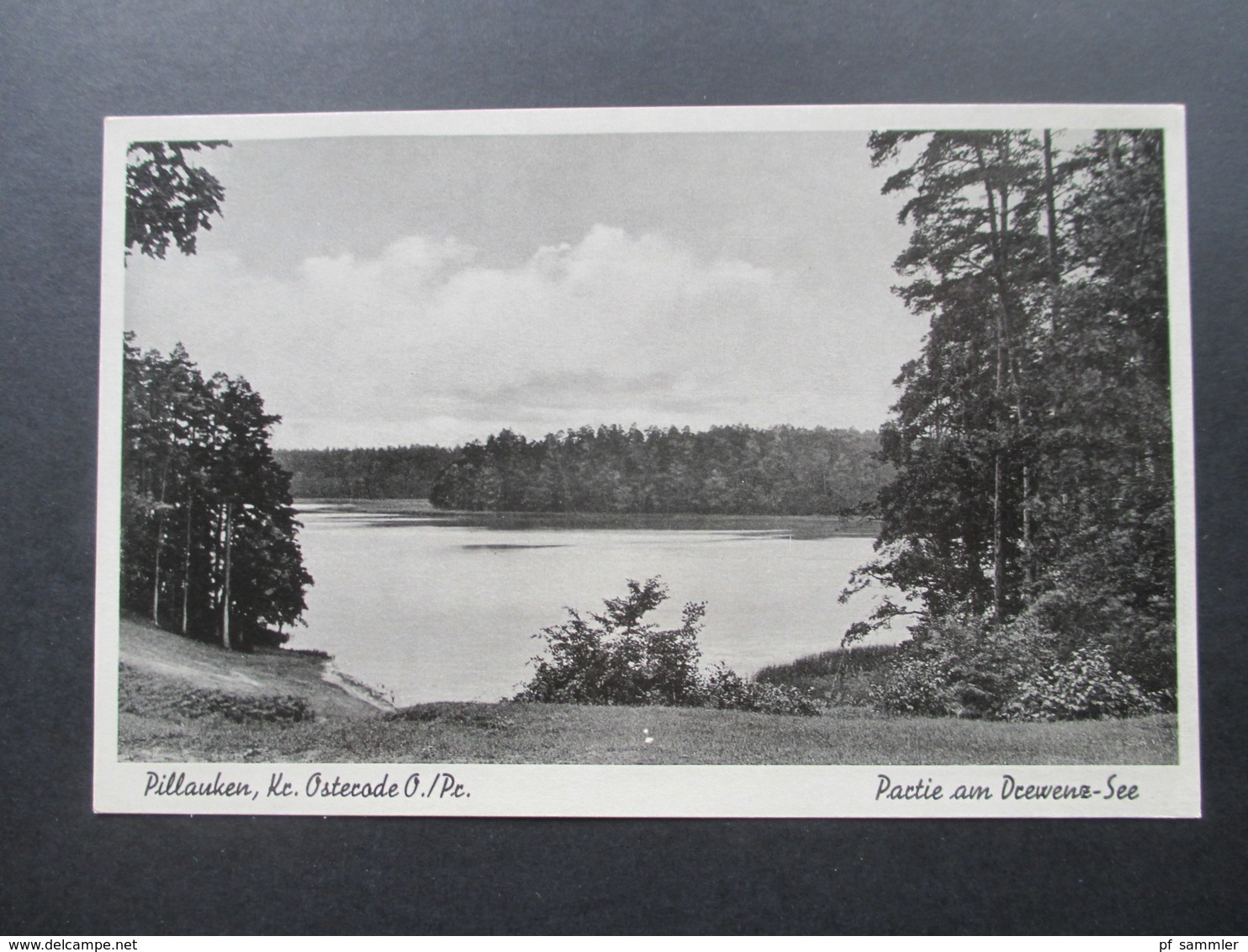 Ostpreussen Pillauken Kreis Osterode Ostpreussen. Partie Am Drewenz See. Verlag Bruno Perling Königsberg - Ostpreussen