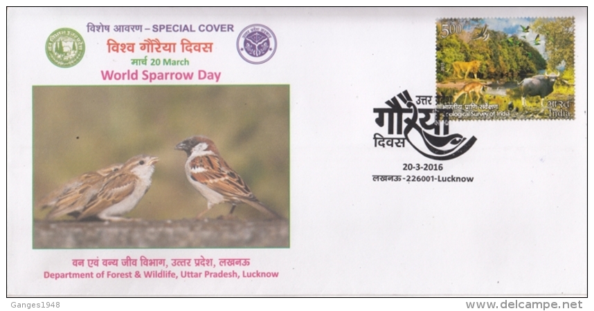 India  2016  Sparrow  Birds  Special Cover   #  10467   D  Inde Indien - Sparrows