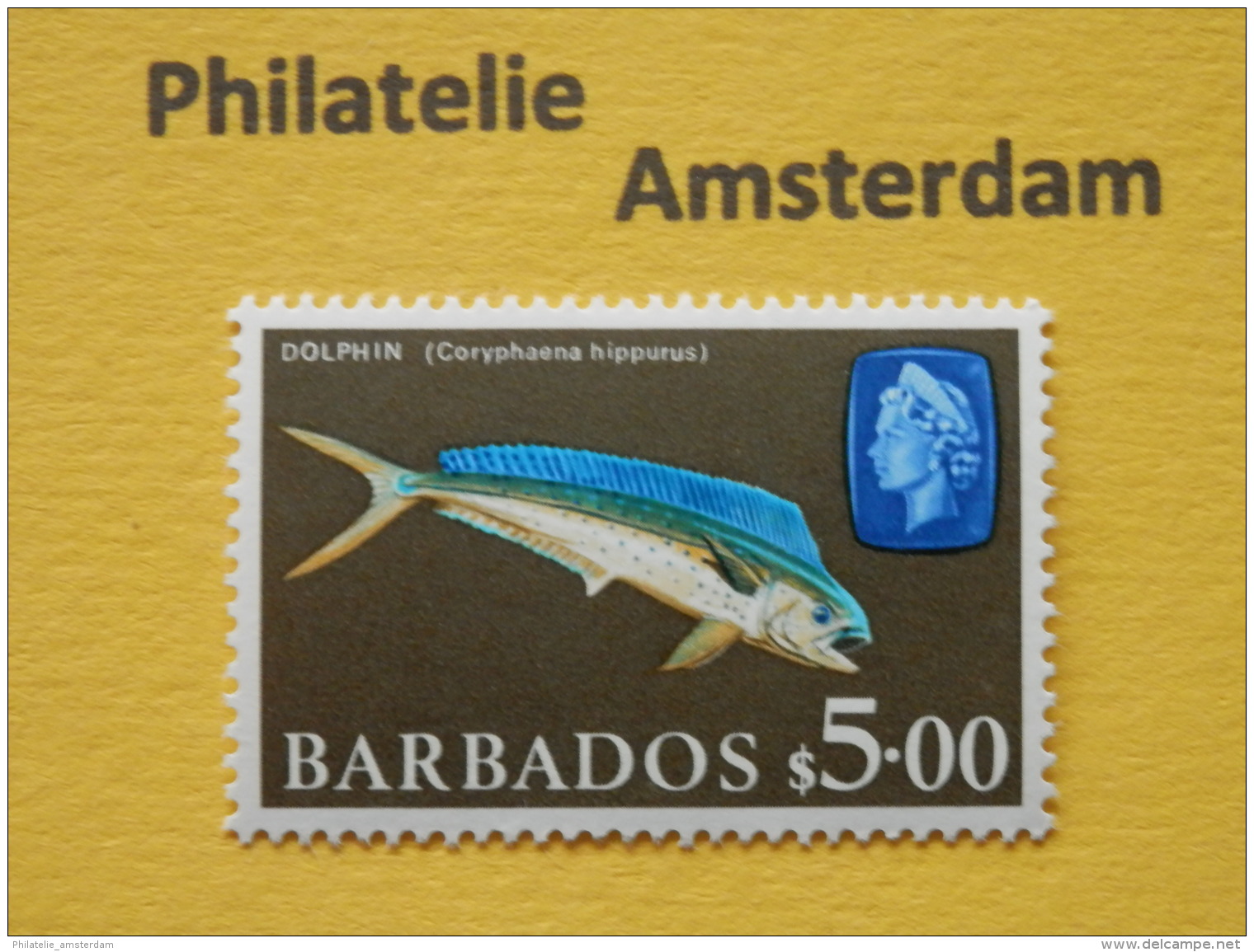 Barbados 1969, FAUNA FISH FISCHE VISSEN POISSONS PECES PESCI: Mi 280, ** - Poissons