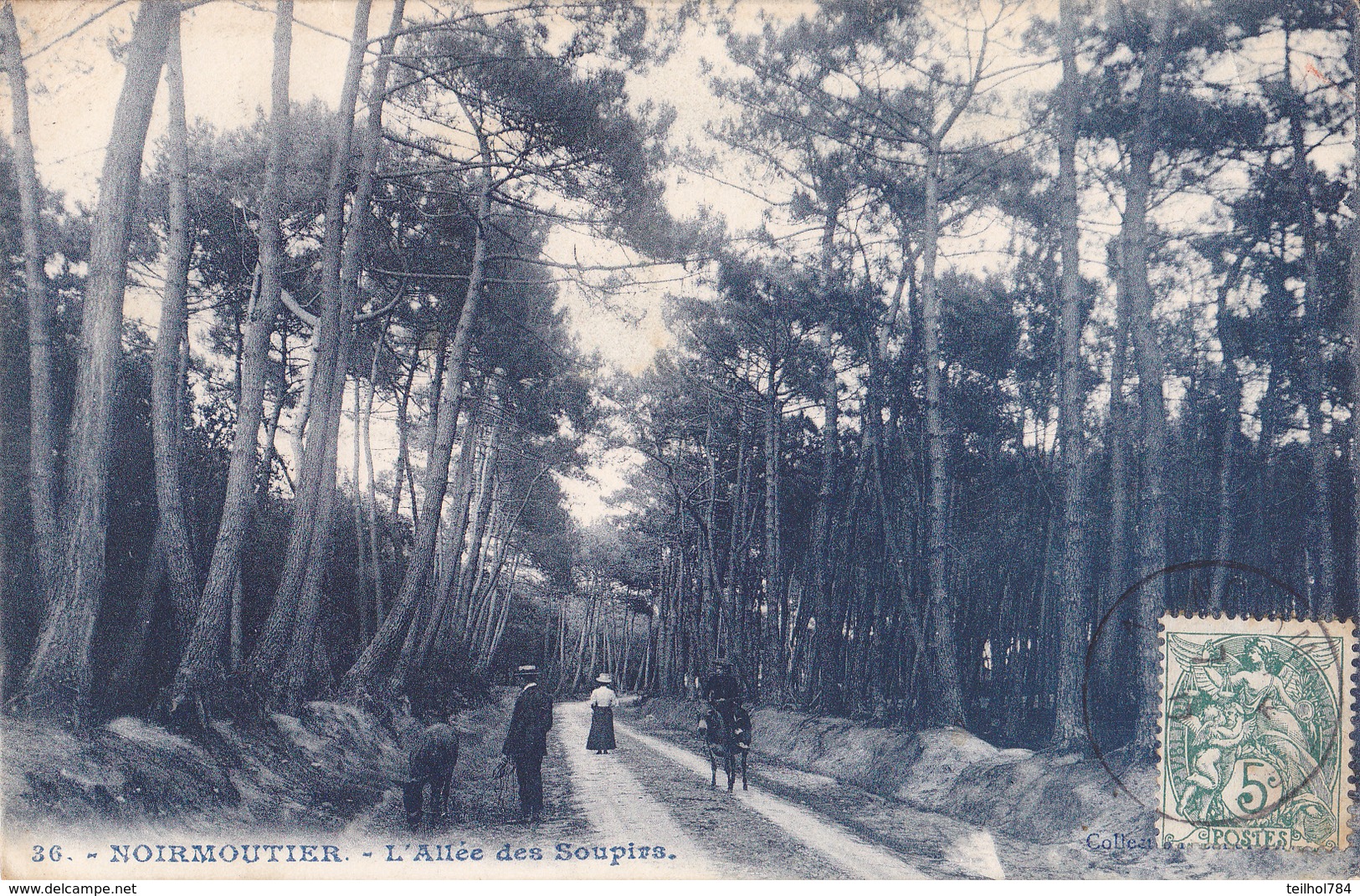 NOIRMOUTIER  -  L ALLEE DES SOUPIRS - Noirmoutier