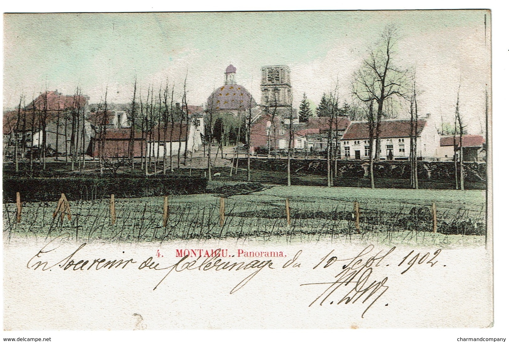 Montaigu - Panorama - 1902 -  2 Scans - Scherpenheuvel-Zichem