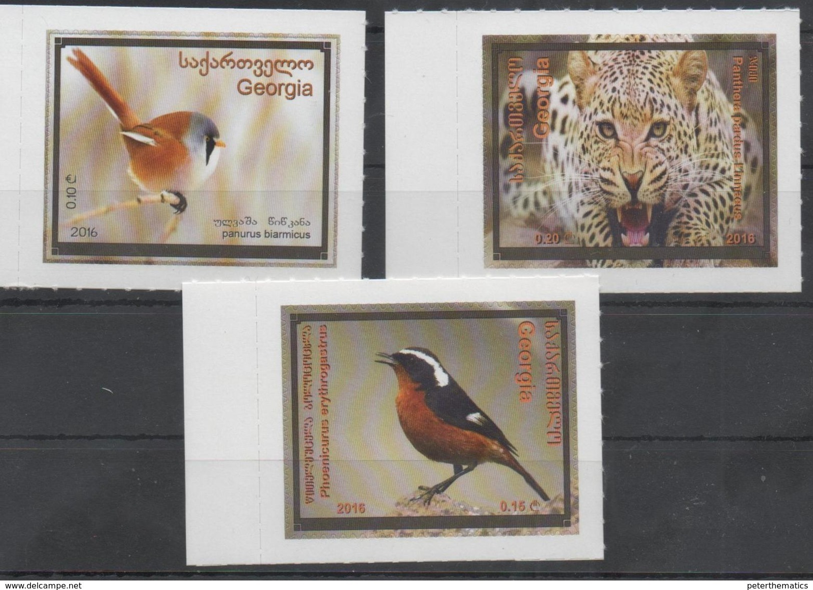 GEORGIA, 2016, MNH, FAUNA, BIRDS, FELINES, 3v - Other & Unclassified