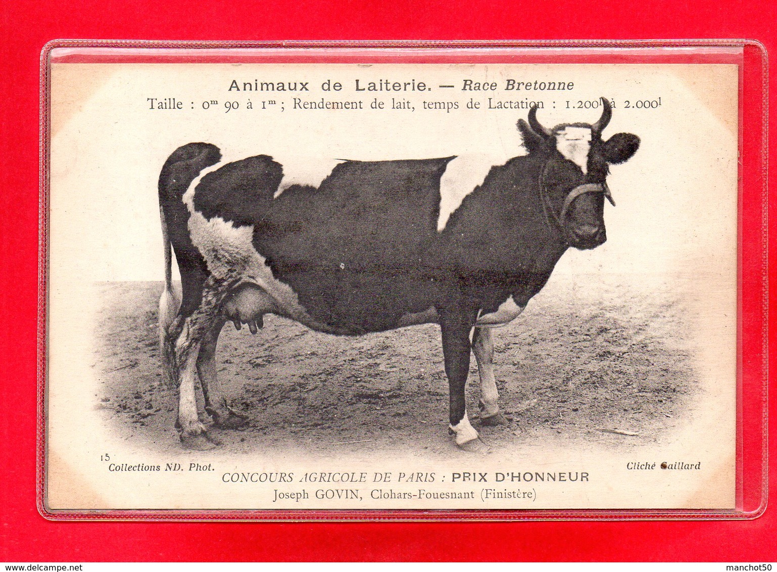 29-CPA CLOHARS-FOUESNANT - CONCOURS AGRICOLE DE PARIS - Clohars-Carnoët