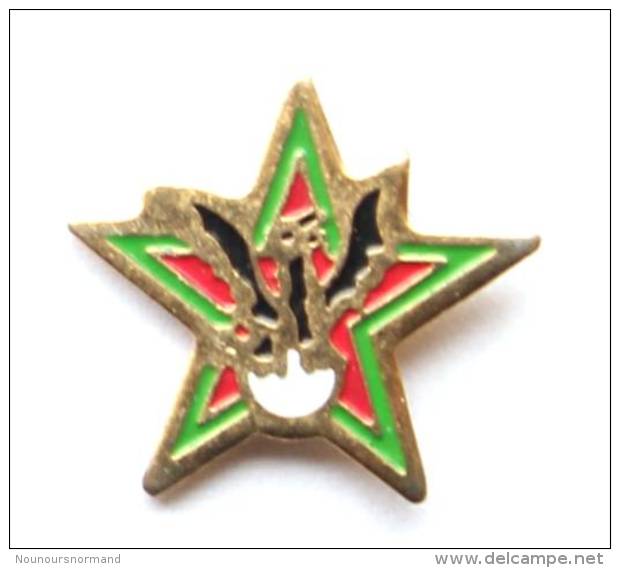 Petit Pin's Insigne Ou Pucelle à Identifier - ETOILE Et Aigle Ou Dragon - Accepte Infos - H113 - Militari