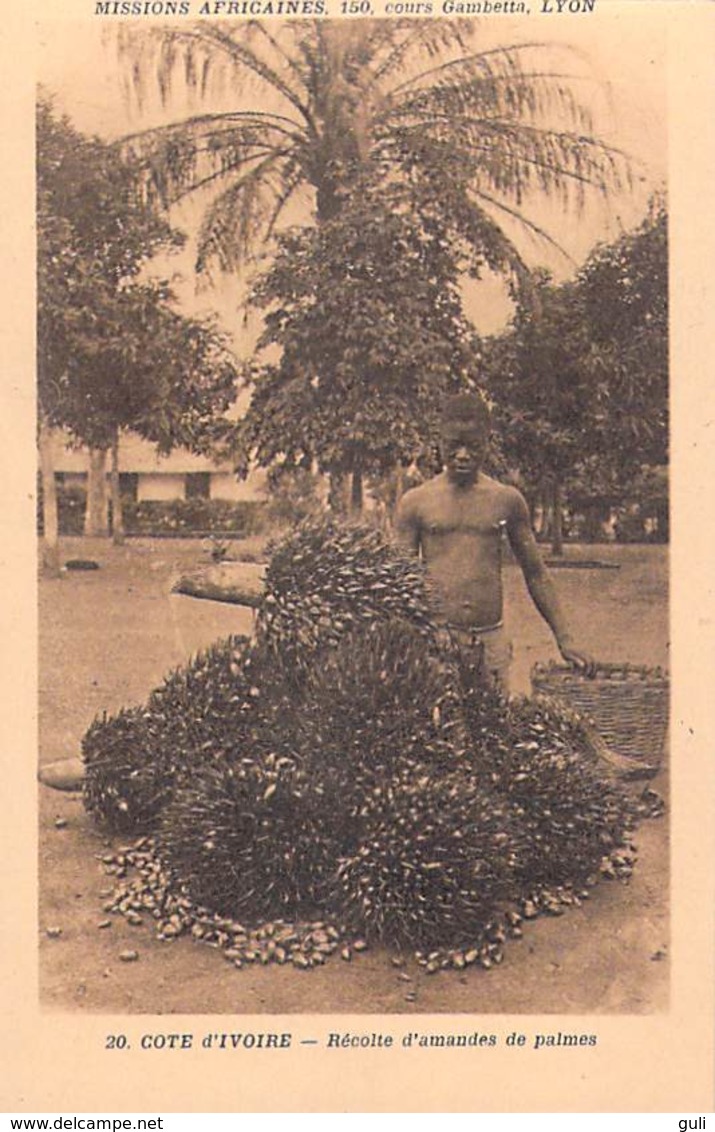 Afrique- Côte-d'Ivoire Récolte D'amandes De Palmes   -Missions Africaines Lyon ( Mission Religion Lescuyer 20) - Côte-d'Ivoire