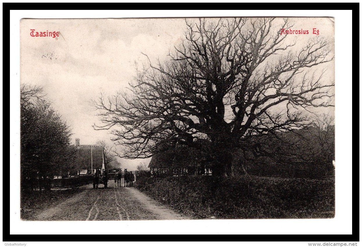 DD2914  DENMARK  SVENDBORG TAASINGE  AMBROSIUS EG   POSTCARD - Denemarken