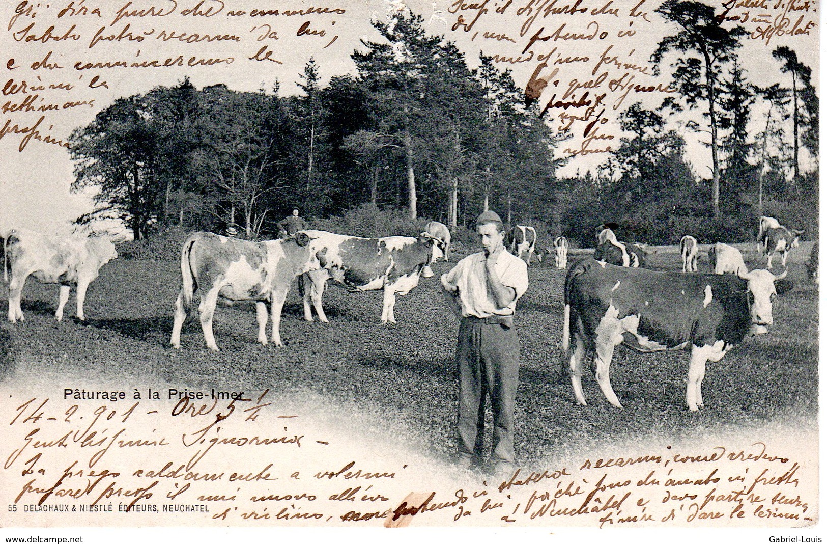 Pâturage à La Prise-Imer - Corcelles - Montmollin - Postée En 1901 - Trous De Punaises Au Milieu En Haut - Corcelles