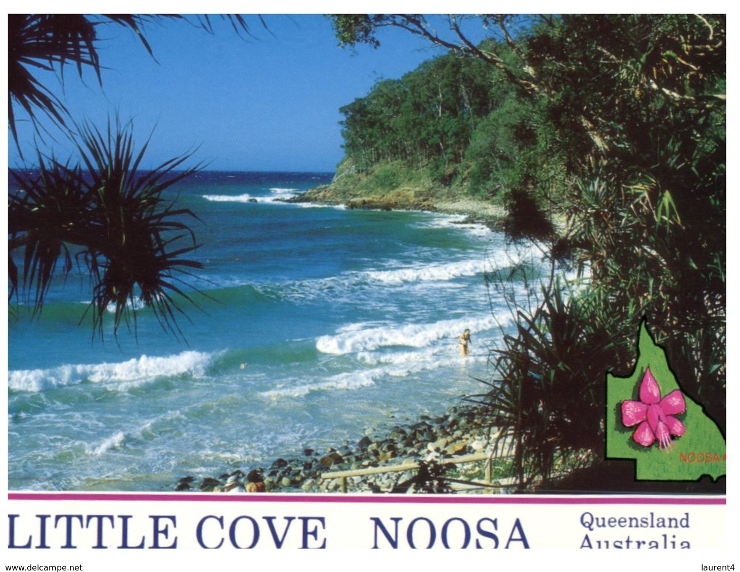 (140) Australia - QLD -  Noosa Little Cove - Sunshine Coast