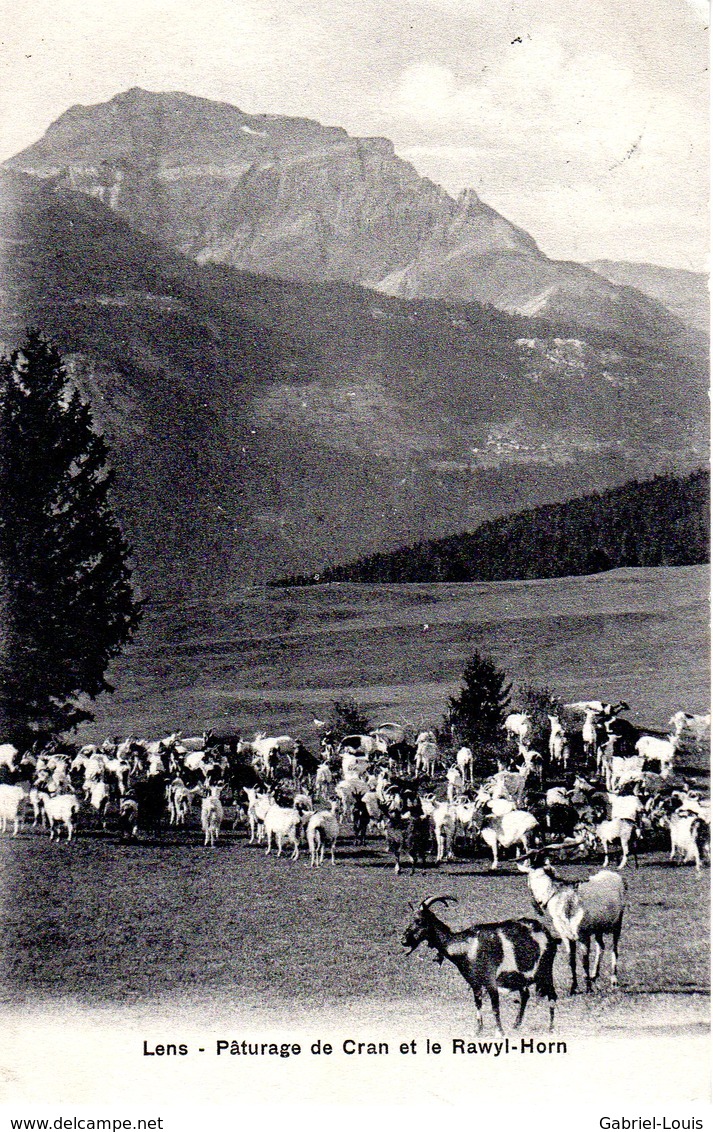 Lens - Pâturage De Cran Et Le Rawyl-Horn - Troupeau De Chèvres - Lens