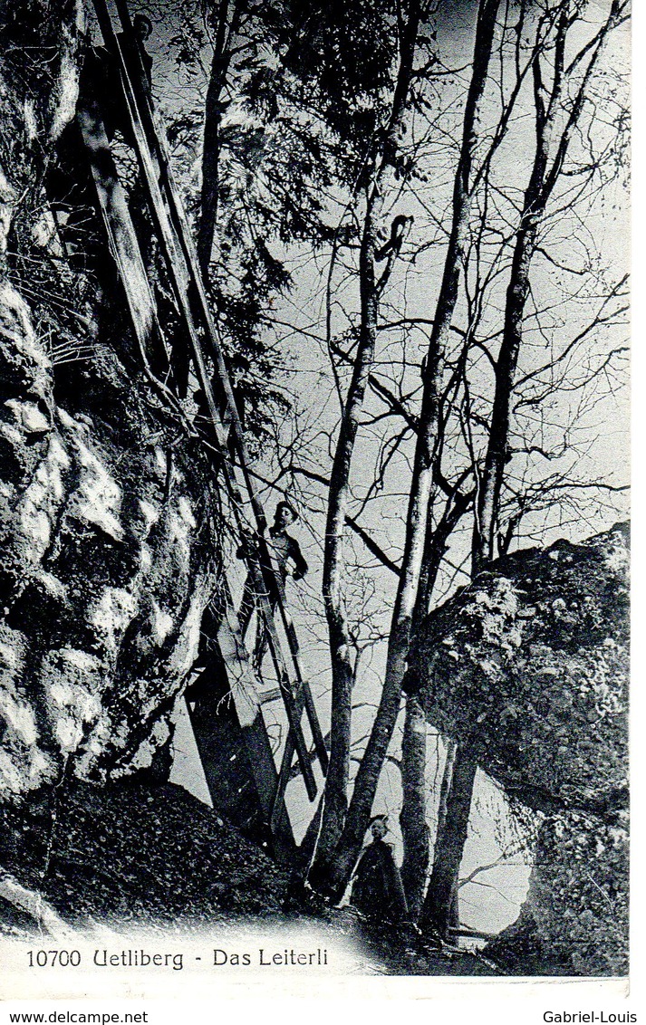 Uetliberg - Das Leiterli - Sonstige & Ohne Zuordnung