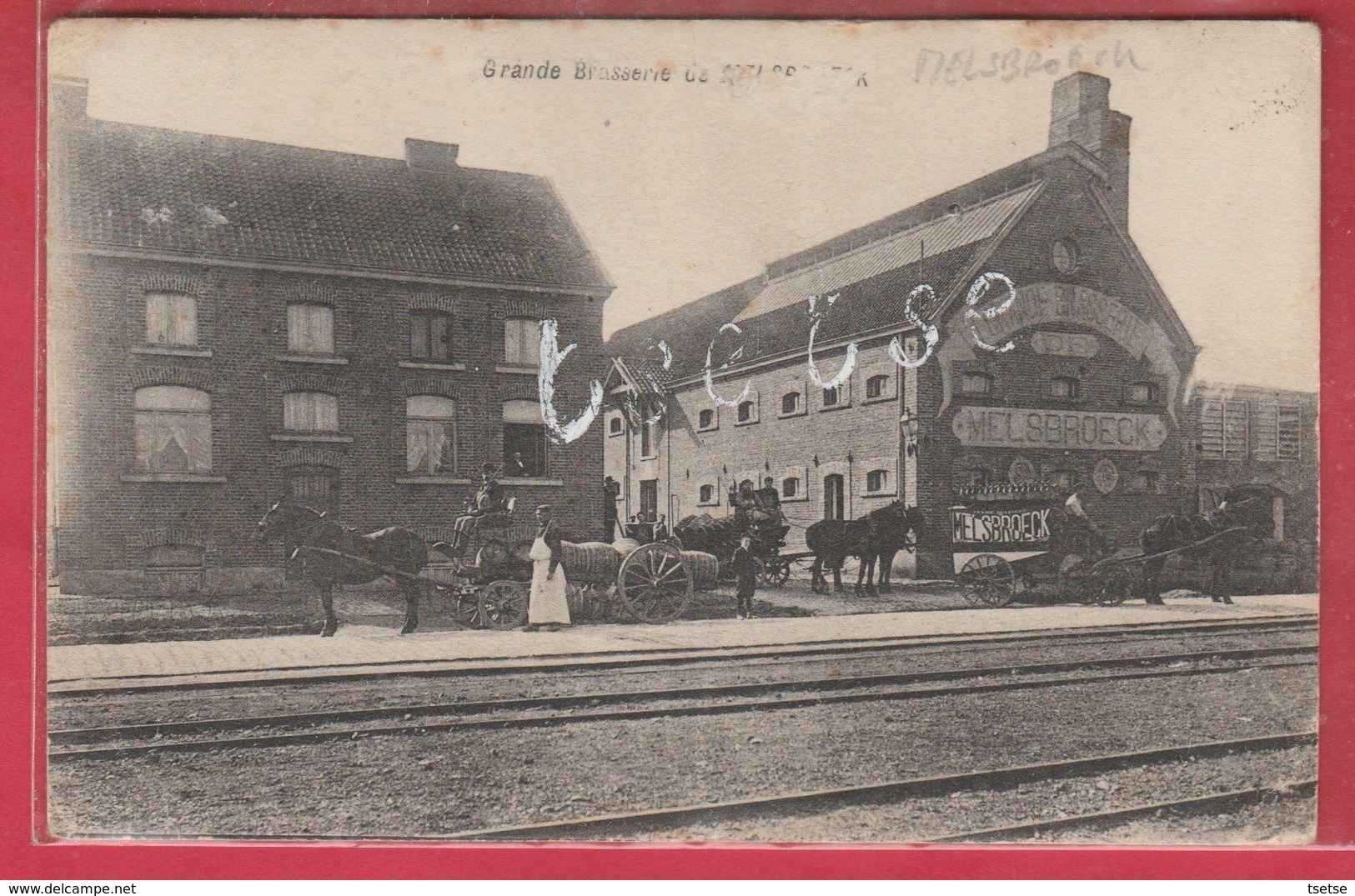 Melsbroek - Top Kaart - Brouwerij  / Grande Brasserie - 1908 ( Verso Zien ) - Steenokkerzeel