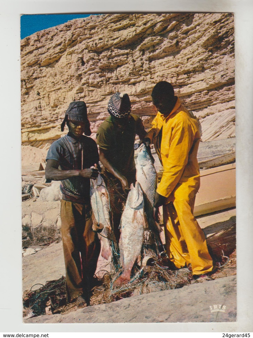 2 CPSM MAURITANIE ETHNOLOGIE - Pêche à Nouadhibou, Retour De Pêche - Mauritanie