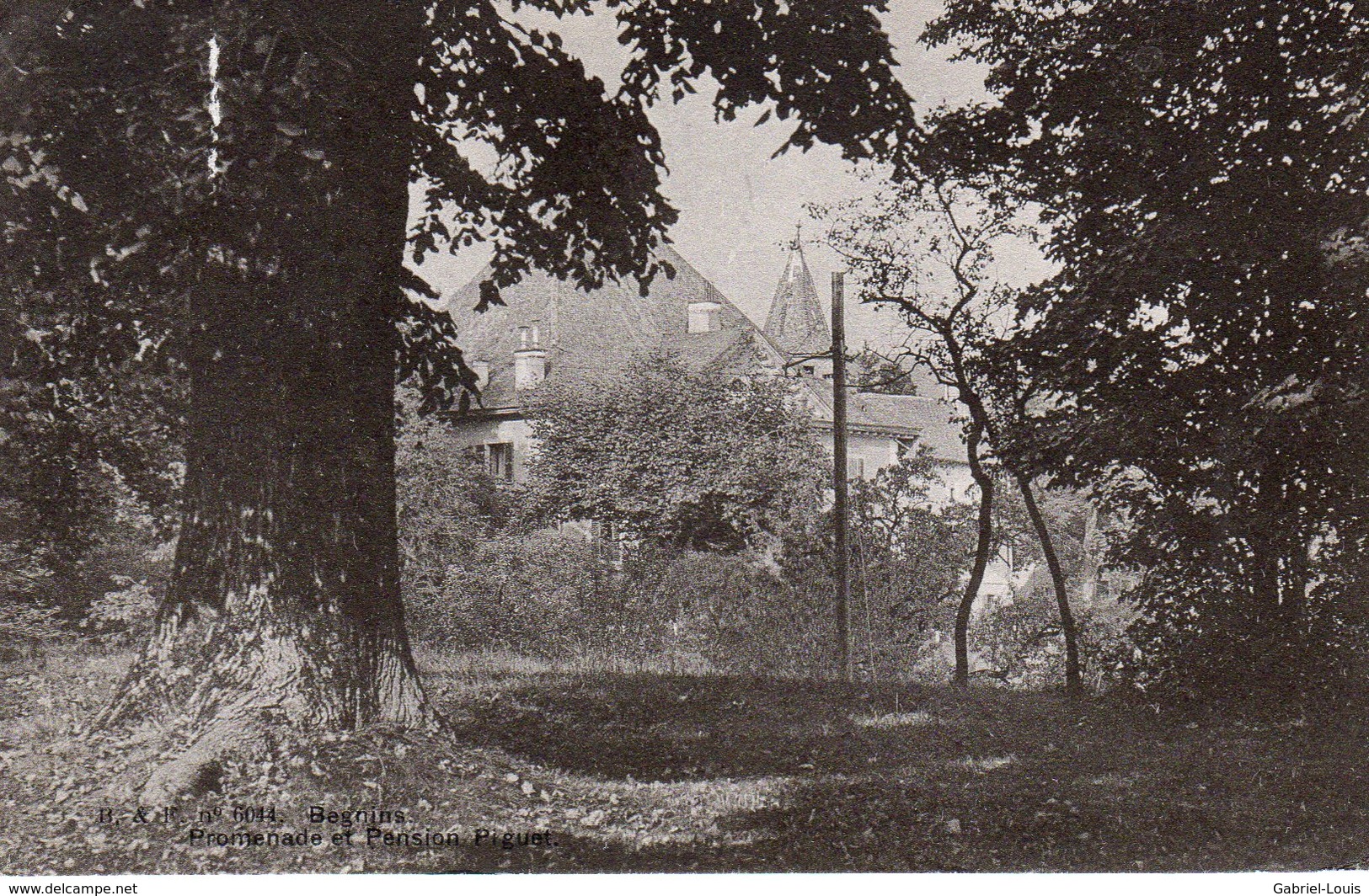 Begnins - Promenade Et Pension Piguet - Begnins