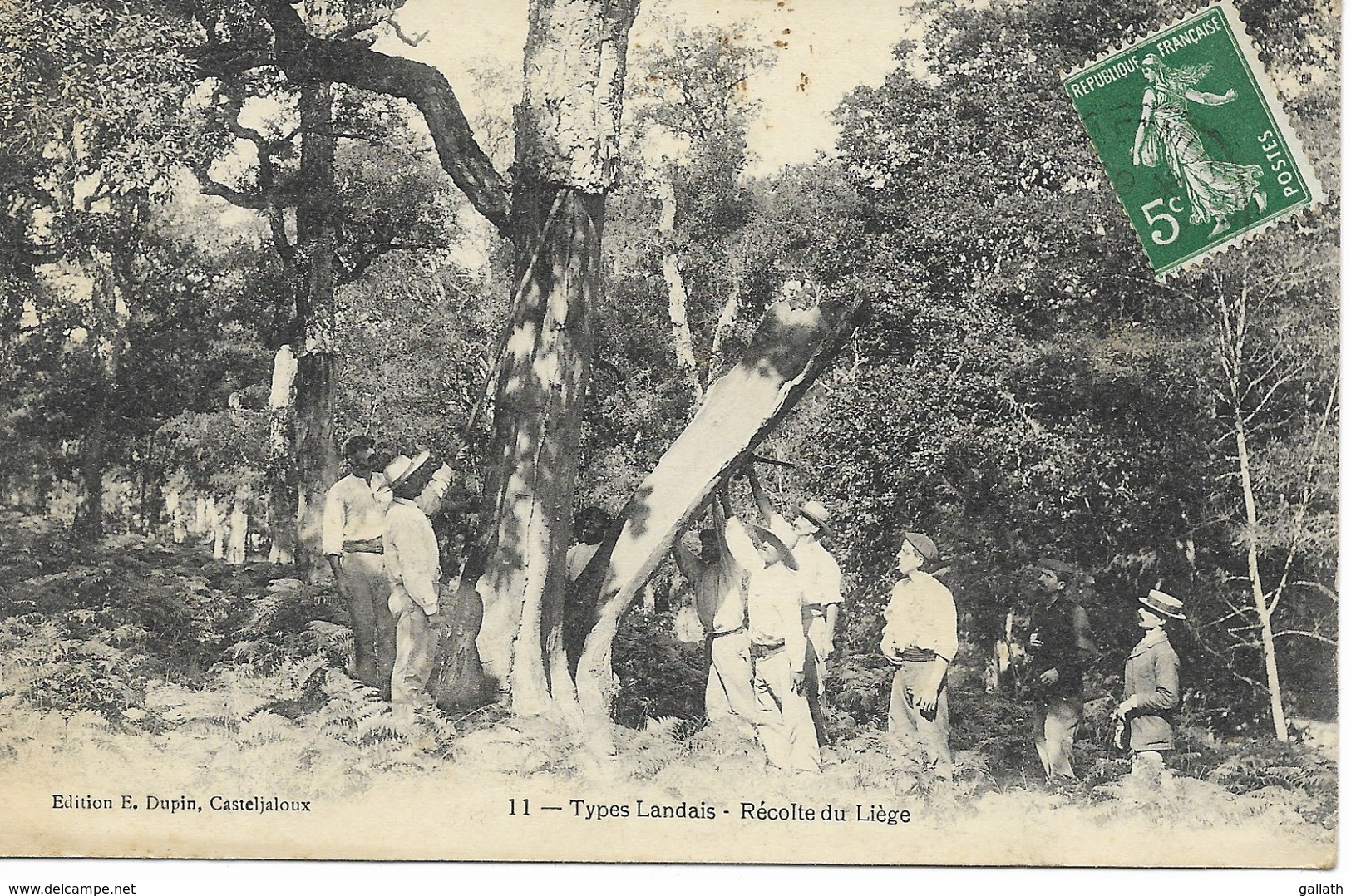 40-TYPES LANDAIS - Récolte Du Liège...1909  Animé - Other & Unclassified