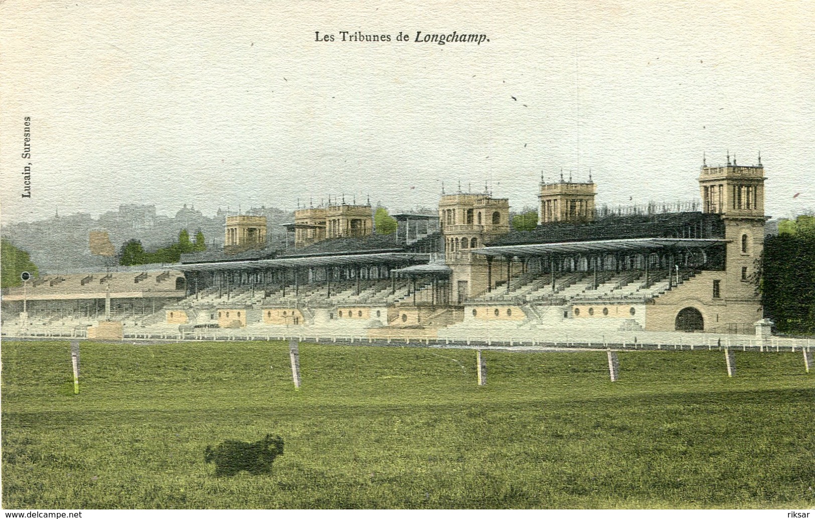 CHAMP DE COURSES(HIPPODROME) PARIS LONGCHAMP(CARTE EN COULEUR) - Ippica