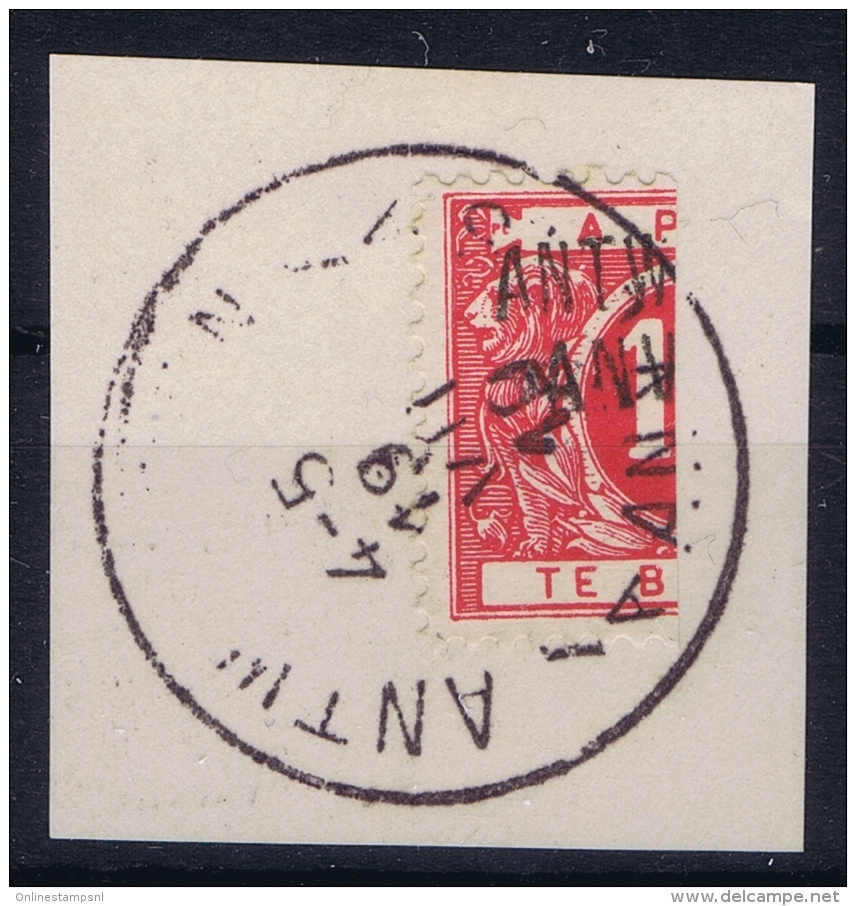 Belgium OBP Nr TX5 Halved On Fragment  Obl./Gestempelt/used - Briefmarken