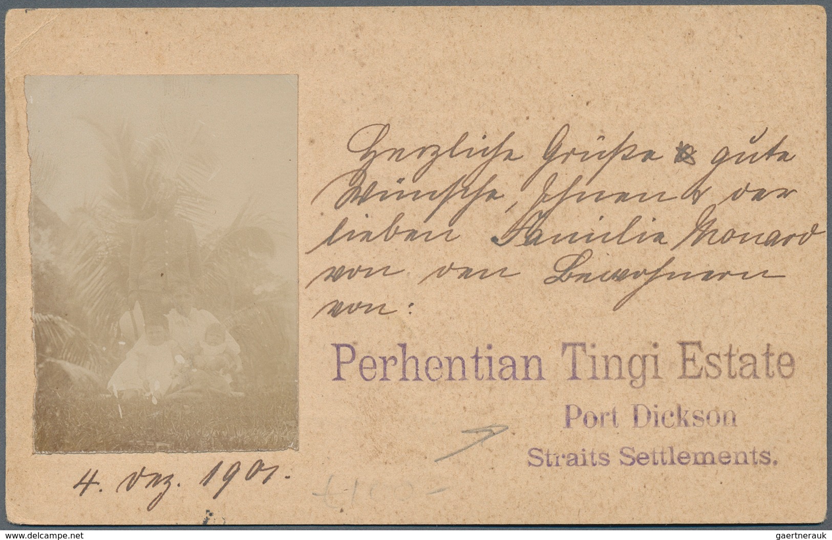 05555 Malaiischer Staatenbund: 1901 (5.12.), Stat. Postcard 3c. Tiger Written 'Perhentian Tingi Estate, Po - Federated Malay States