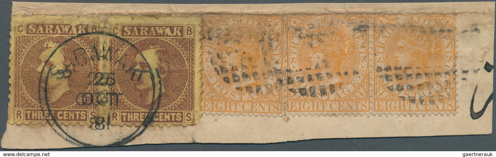 06851 Malaiische Staaten - Sarawak: 1881, Sir Charles Brooke 3c. Brown/yellow Horiz. Pair Used On Piece Wi - Other & Unclassified