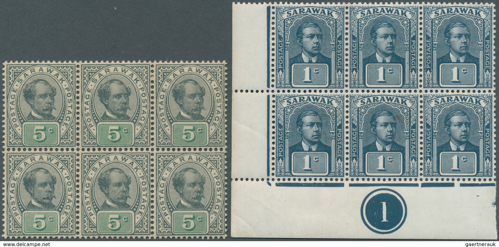 06885 Malaiische Staaten - Sarawak: 1899/1918, Sir Charles Brooke 5c. Olive-grey/green And Sir Charles Vyn - Other & Unclassified