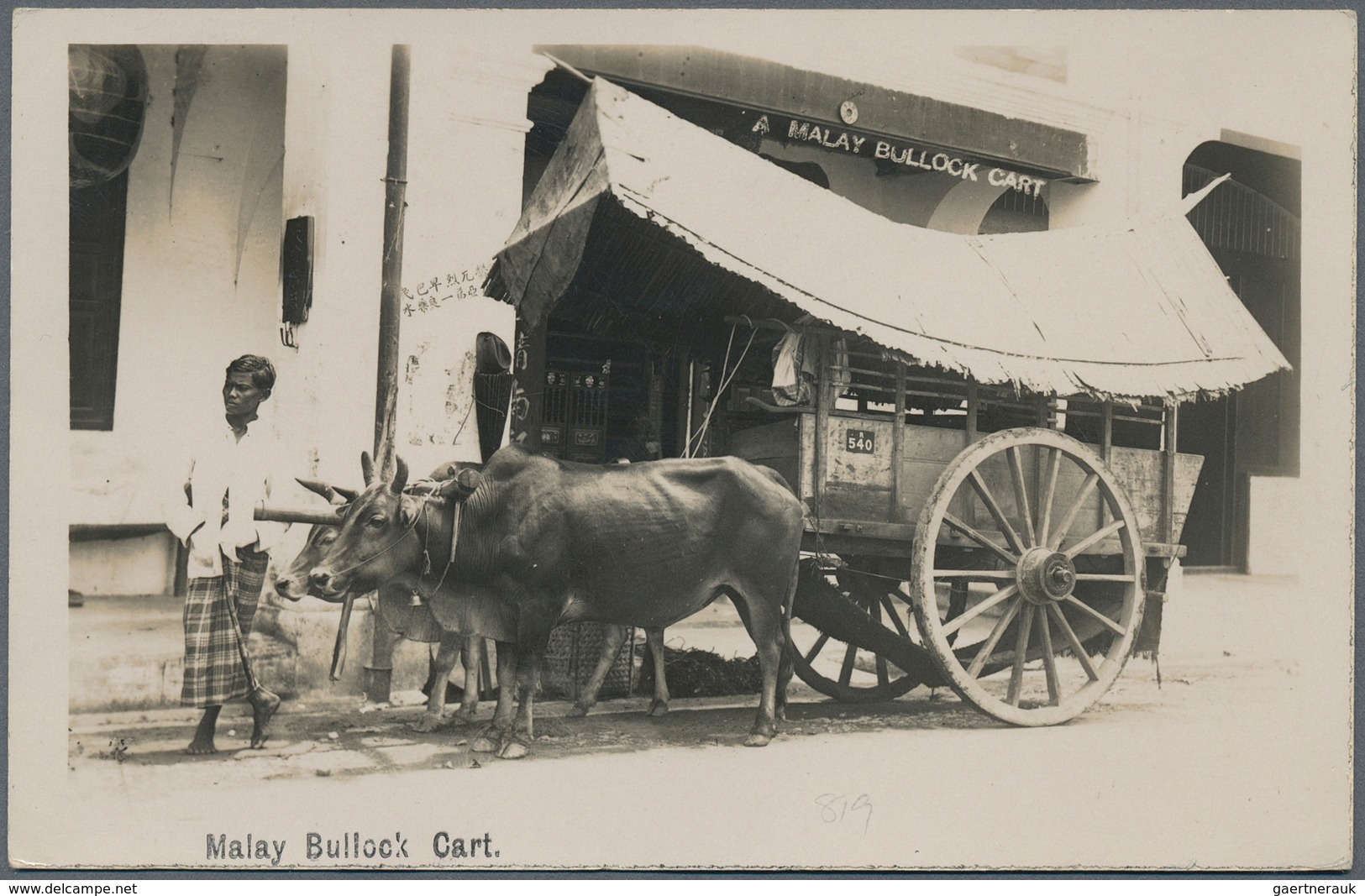 07153 Malaiische Staaten - Selangor: 1932, BATU LAUT: FMS Tiger 6c. Scarlet Single Use On Picture Postcard - Selangor