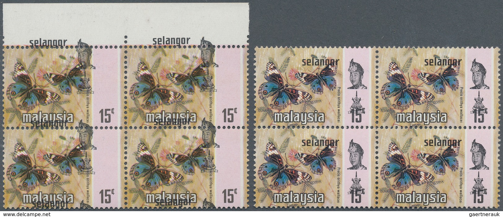 07400 Malaiische Staaten - Selangor: 1971, 15c. Blue Pansy Butterfly, Two Blocks Of Four Showing Shifted I - Selangor