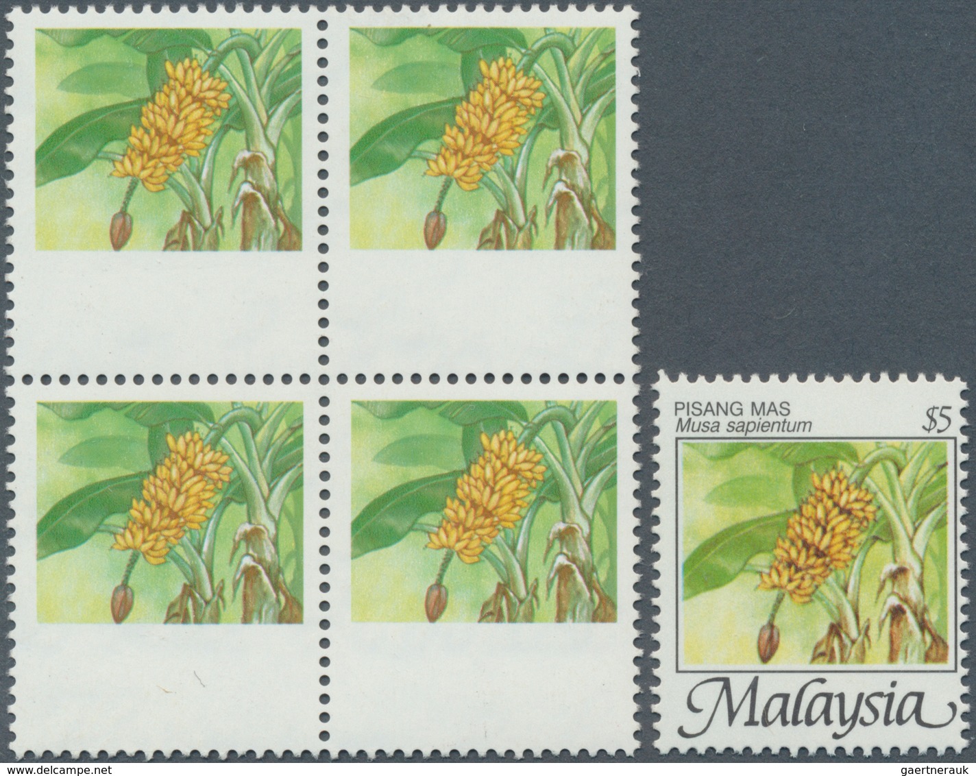07513 Malaysia: 1986, Fruits $5 'Banana' (Musa Sapientum) With BLACK OMITTED And Shifted Perforation To To - Malaysia (1964-...)