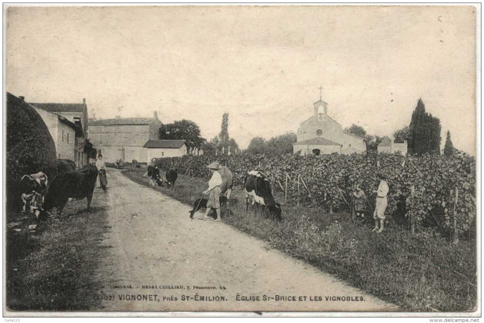 33 - B26457CPA - VIGNONET - ST EMILION - Eglise St Brice Et Vignobles -Vaches - Très Bon état - GIRONDE - Altri & Non Classificati