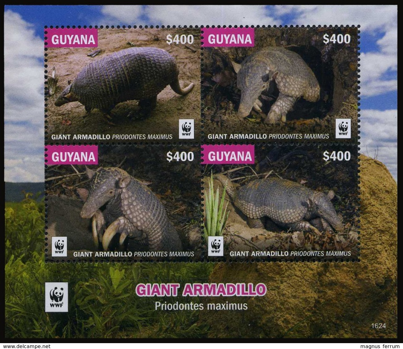 2016 Guyana, Giant Armadillo, WWF,  Souvenir Sheet, MNH - Unused Stamps