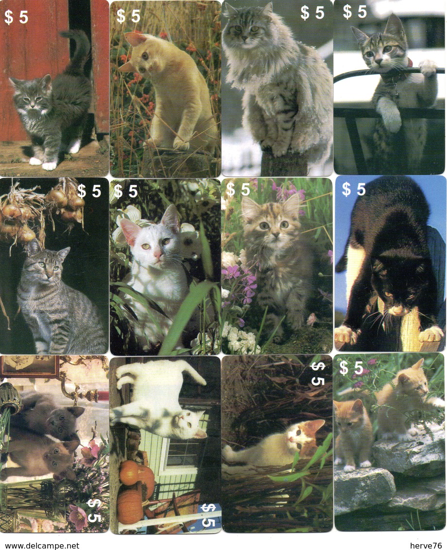 LOT 12 Télécartes Prépayées - Phonecard -Setcall - Chat - Chats - Cats