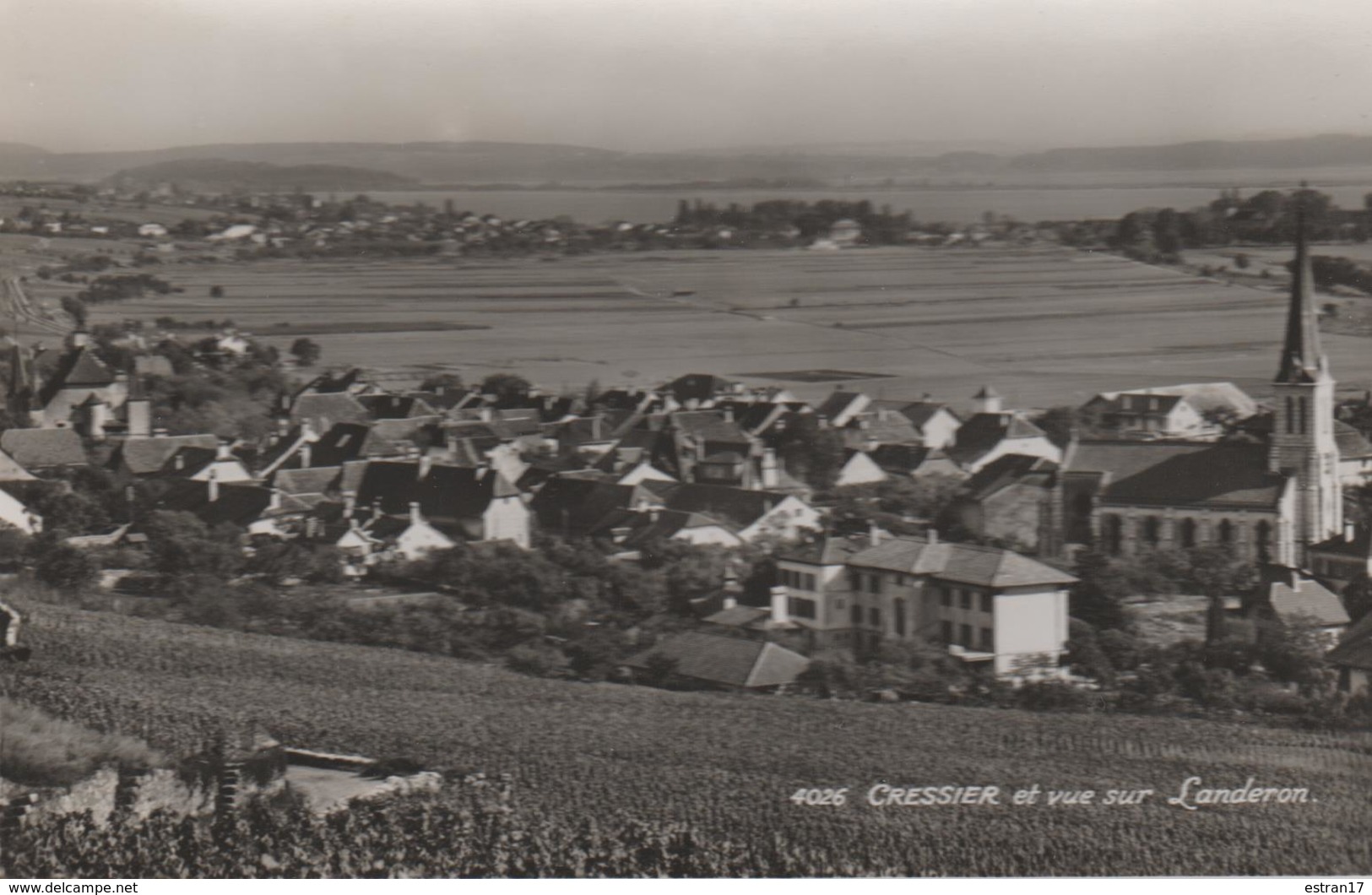 CRESSIER CARTE PHOTO VUE SUR LE VILLAGE ET SUR LANDERON - Cressier