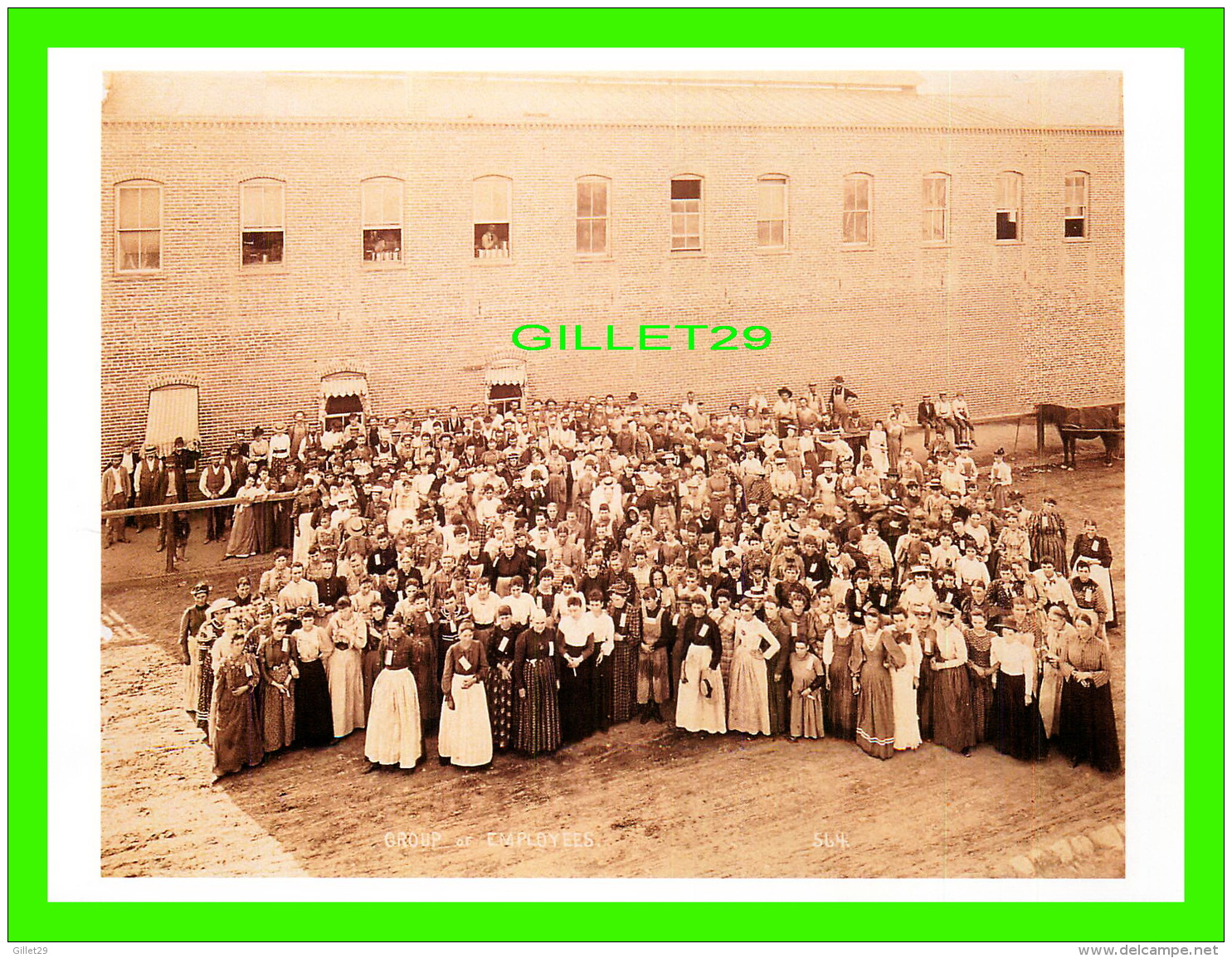 FEMMES - EMPLOYEES OF THE SOUTHERN CALIFORNIA PACKING CO, 1895 -  DIMENSION 12 X 16 Cm - - Femmes