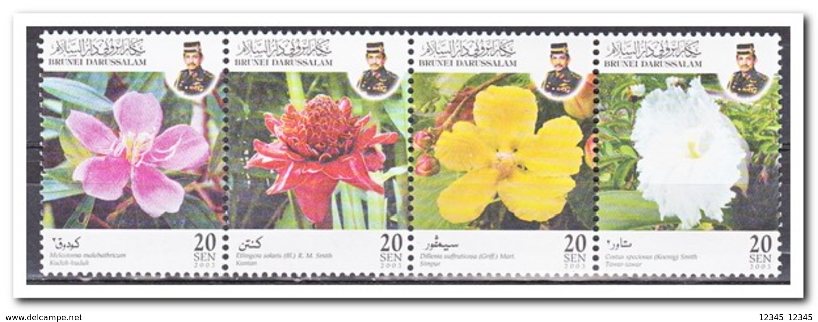 Brunei 2003, Postfris MNH, Flowers - Brunei (1984-...)