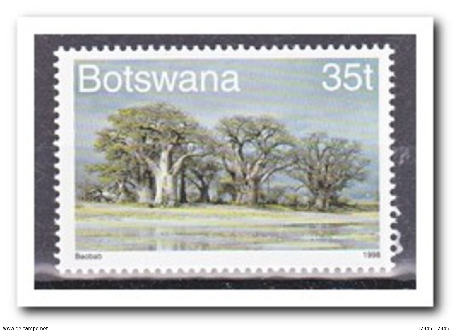 Botswana 1998, Postfris MNH, Trees - Botswana (1966-...)