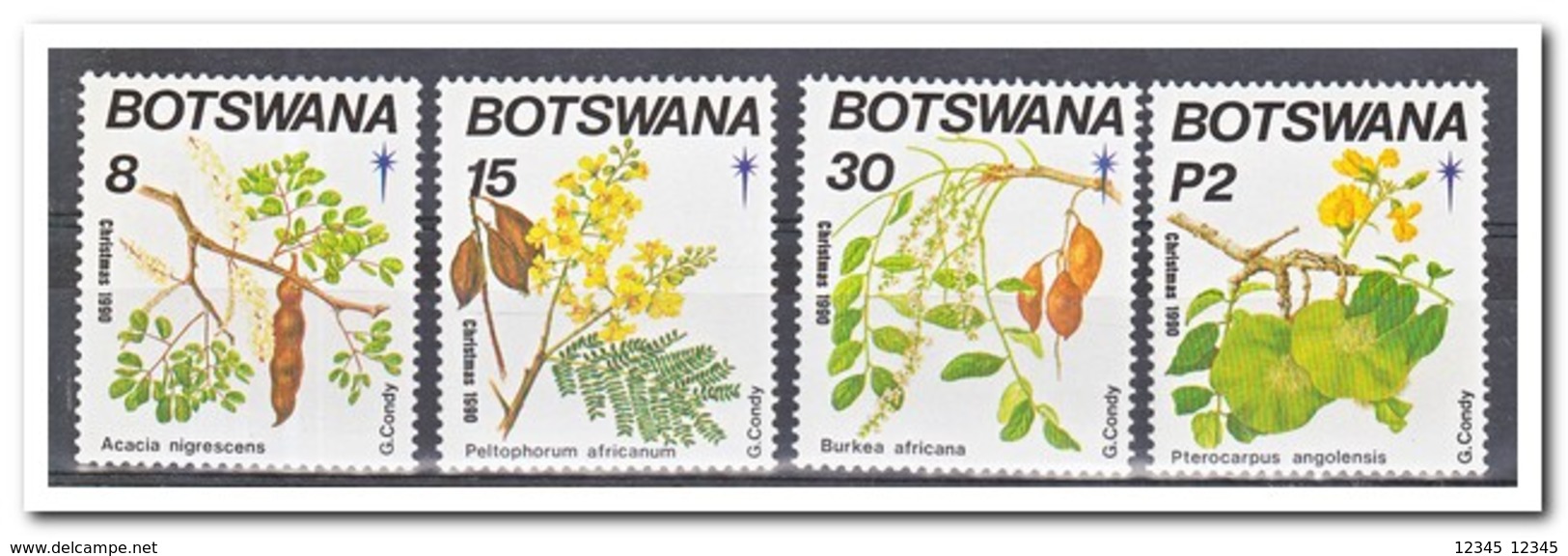 Botswana 1990, Postfris MNH, Plants, Christmas - Botswana (1966-...)