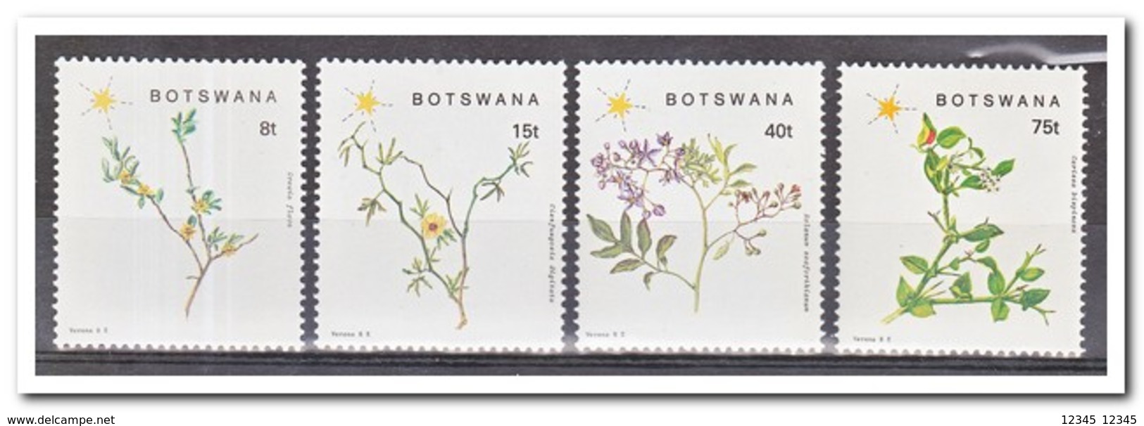 Botswana 1988, Postfris MNH, Plants - Botswana (1966-...)