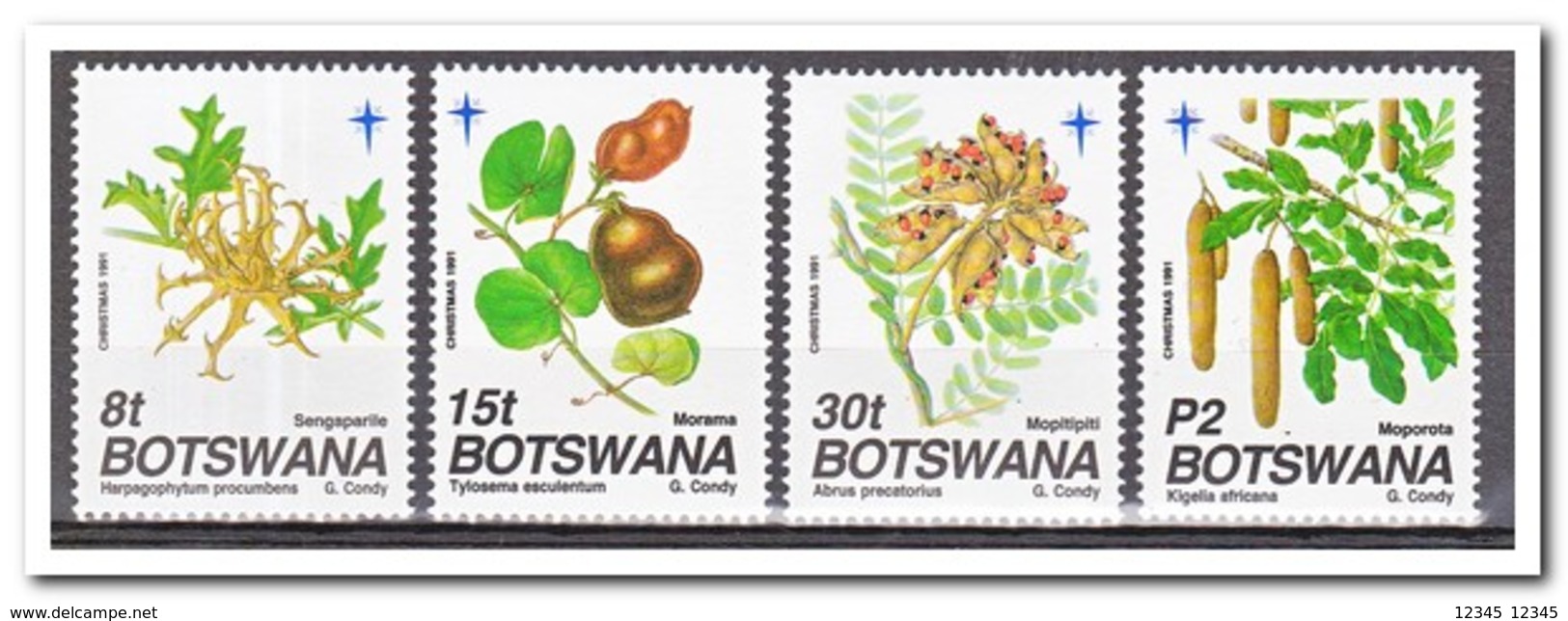 Botswana 1991, Postfris MNH, Plants, Christmas - Botswana (1966-...)