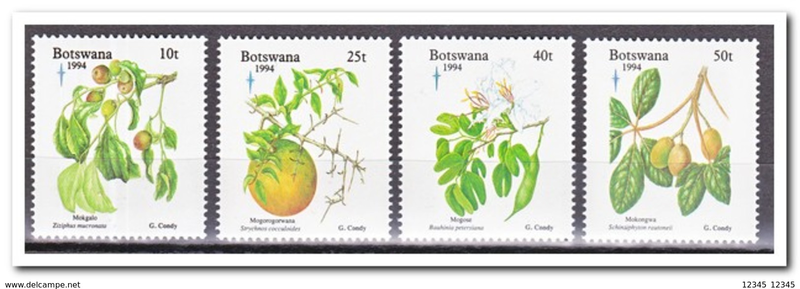 Botswana 1994, Postfris MNH, Plants, Christmas, Fruit, Food - Botswana (1966-...)