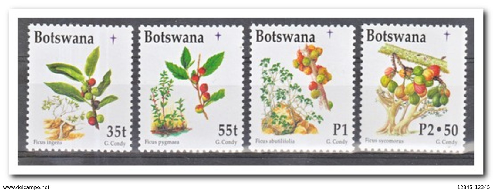 Botswana 1998, Postfris MNH, Plants, Trees, Christmas - Botswana (1966-...)