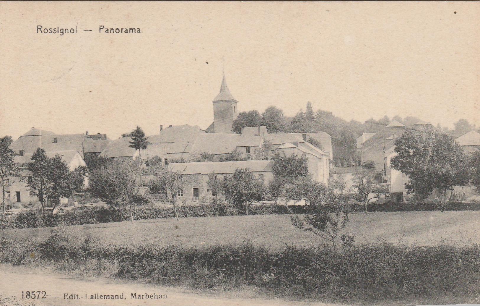 Rossignol , Panorama , ( Edit Lallemand ,Marbehan ,N°18572 ) - Tintigny