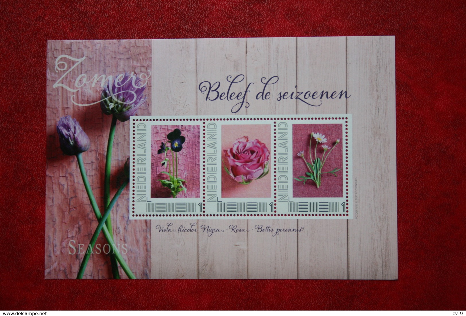 Beleef De Seizoenen ZOMER Bloemen Fleur Flower Blumen Floral 2012 POSTFRIS MNH ** NEDERLAND / NIEDERLANDE / NETHERLANDS - Timbres Personnalisés