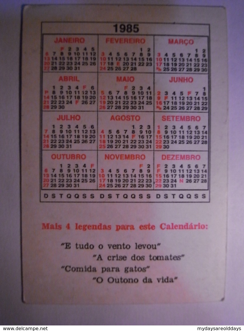 1 Calendar - Cartoon Erotico Erotic Woman Nude Sexy Mulher Nua Sex Porn Pornographic (xx2) - Kleinformat : 1991-00