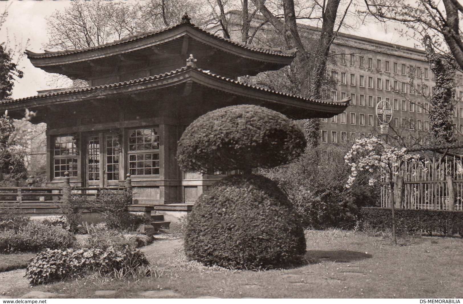 Leverkusen Wiesdorf - Japanischer Garten 1954 - Leverkusen