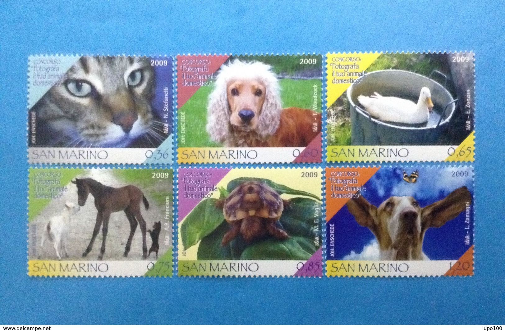 2009 SAN MARINO FRANCOBOLLI NUOVI STAMPS NEW MNH** - CONCORSO FOTOGRAFA ANIMALE DOMESTICO - - Nuovi