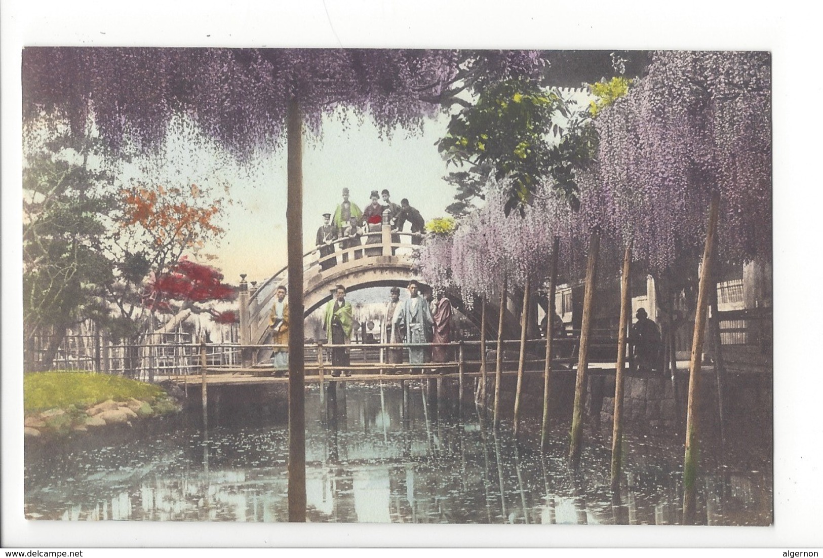 19734 -  JAPON - JAPAN - Jolie Carte Bridge And Cherry Blossoms - Autres & Non Classés