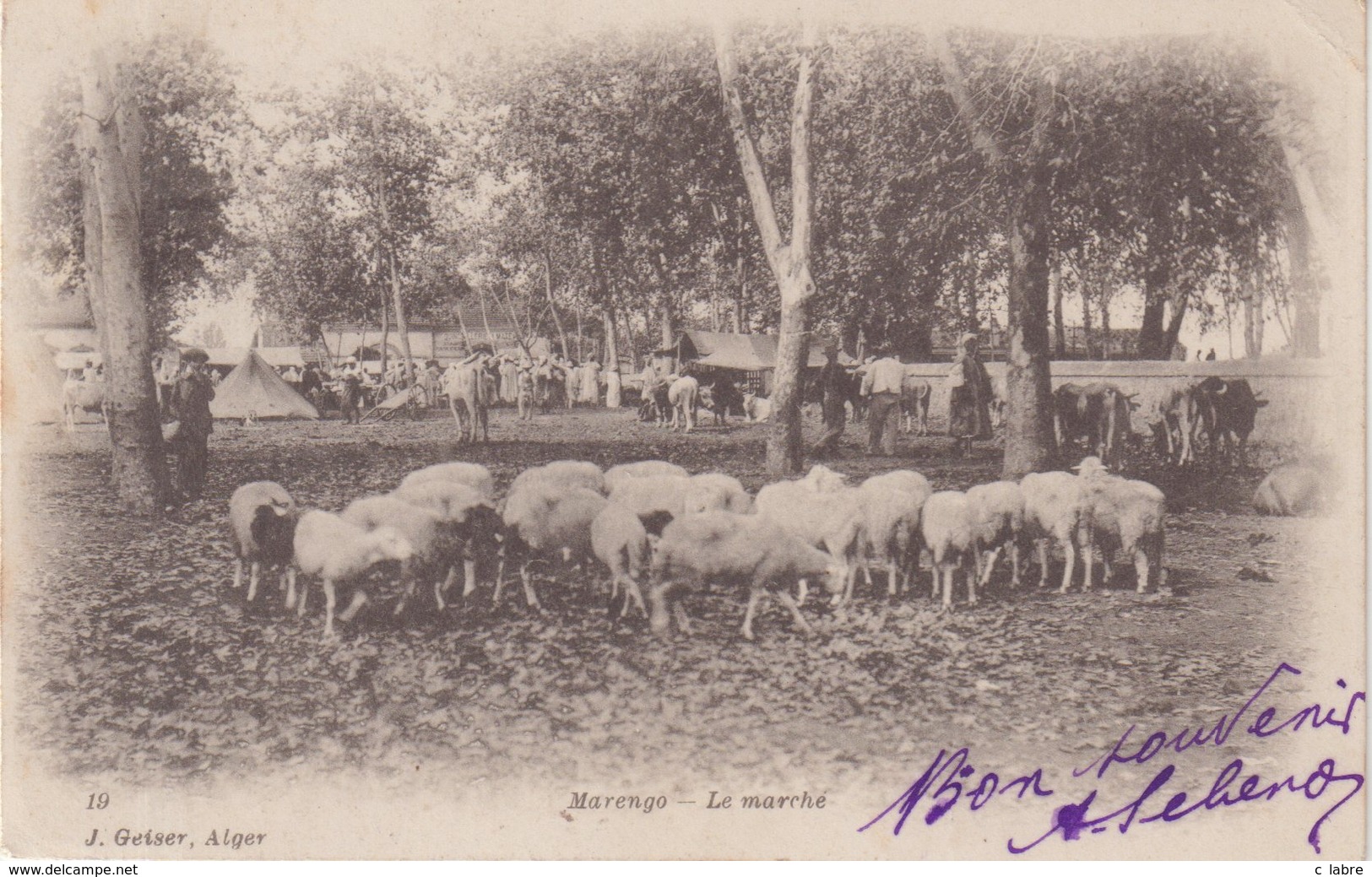 ALGERIE : 10cts . TYPE SEMEUSE LIGNEE . OBL . " BOURKIKA " . POUR LA ROUMANIE.  1904 . - 1877-1920: Semi Modern Period