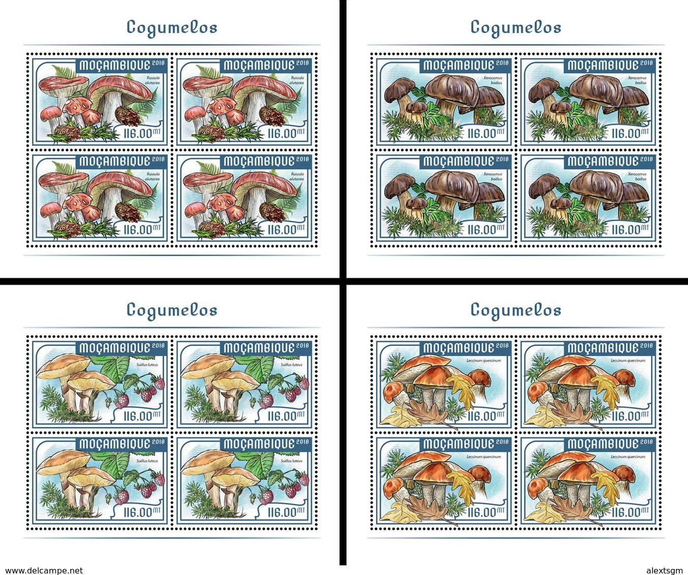 MOZAMBIQUE 2018 - Mushrooms 4 M/S. Official Issue - Funghi